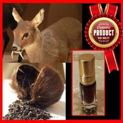 pure deer musk oil